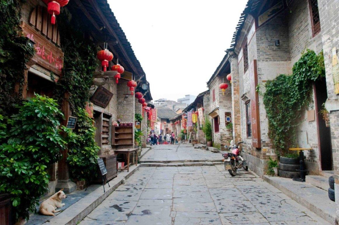 奔跑的兔子